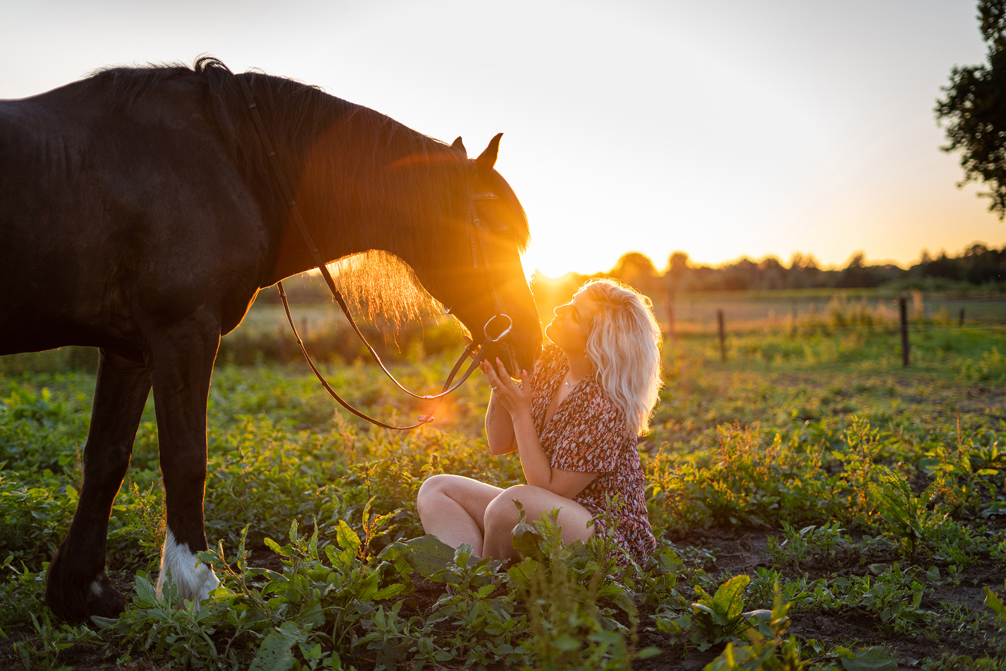 Lifestyle horse shoot sunset